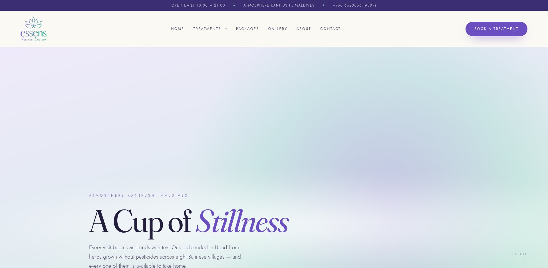 Essens Wellness and Spa