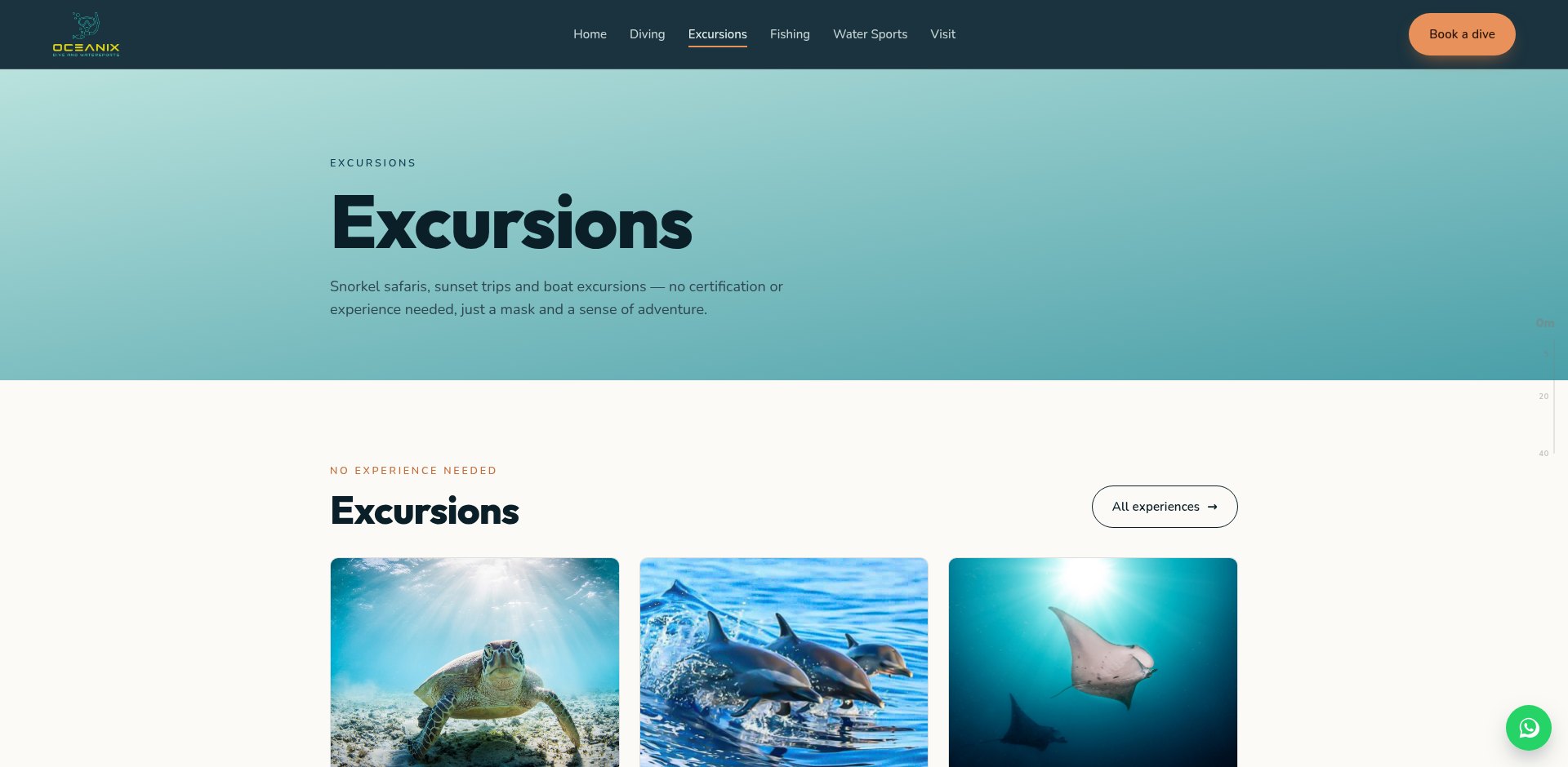 Oceanix dive and Watersports